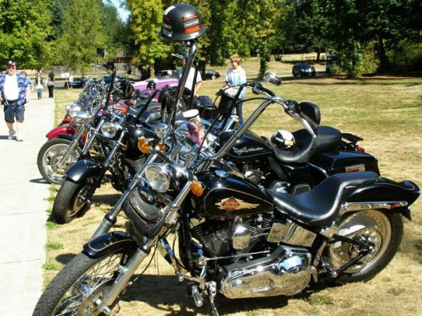 1996 Harley Davidson Soft Tail stolen.jpg