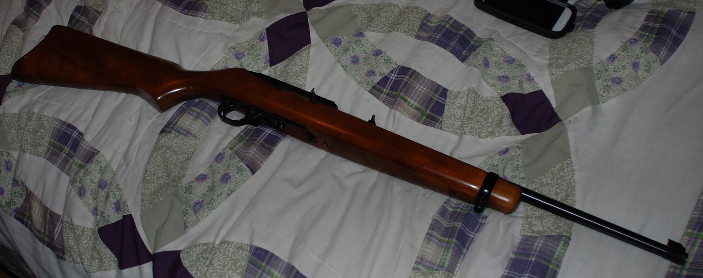 ruger 10-22.jpg